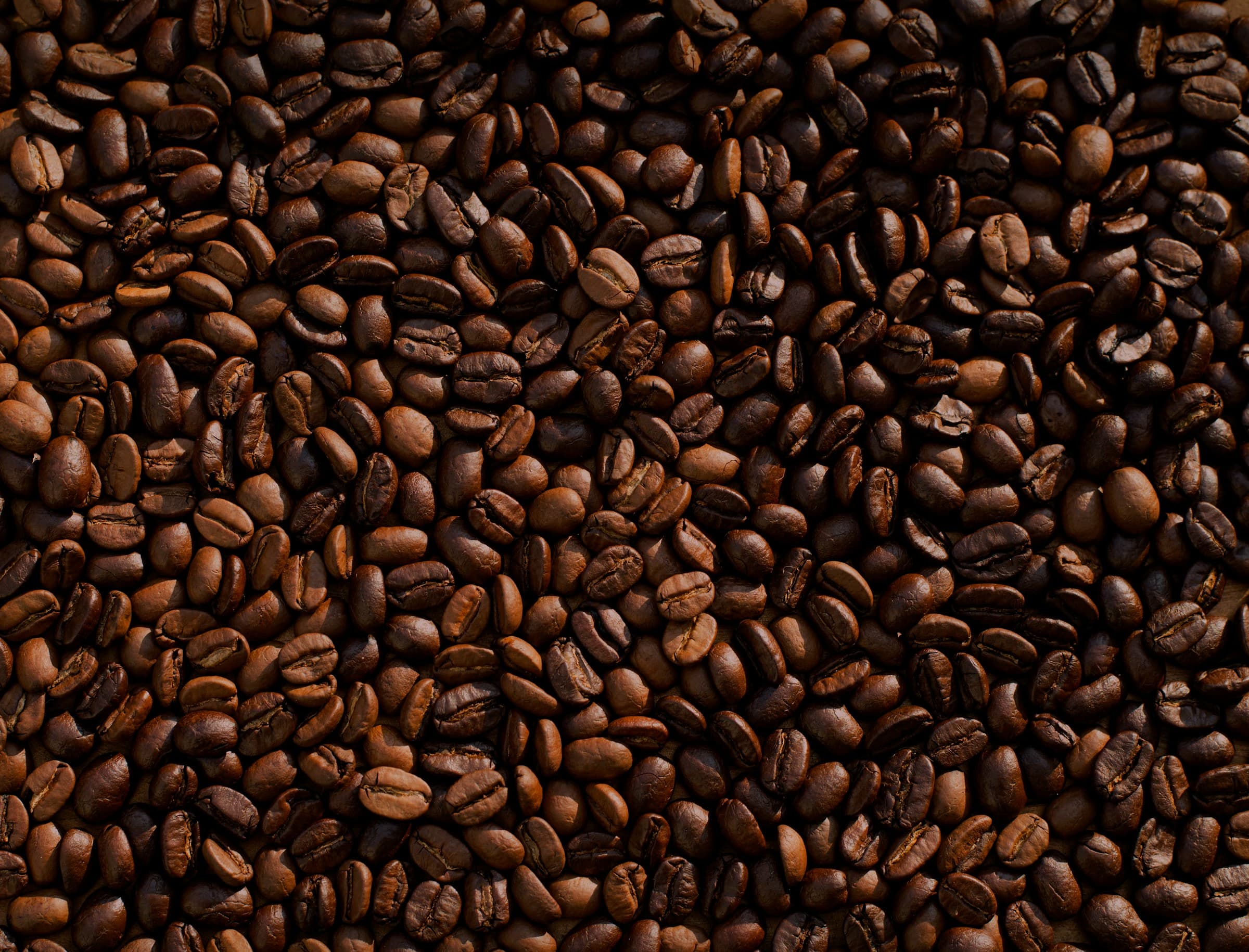 Granos de café de especialidad de Café Nayoli